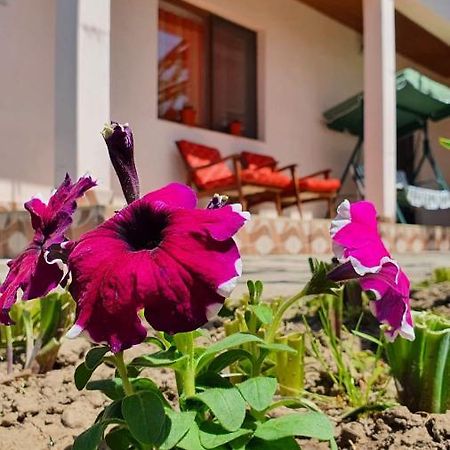 Greci Casa Carauaヴィラ エクステリア 写真