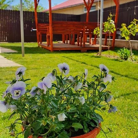 Greci Casa Carauaヴィラ エクステリア 写真