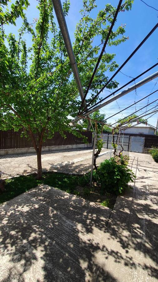 Greci Casa Carauaヴィラ エクステリア 写真