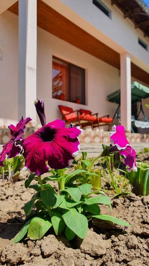 Greci Casa Carauaヴィラ エクステリア 写真