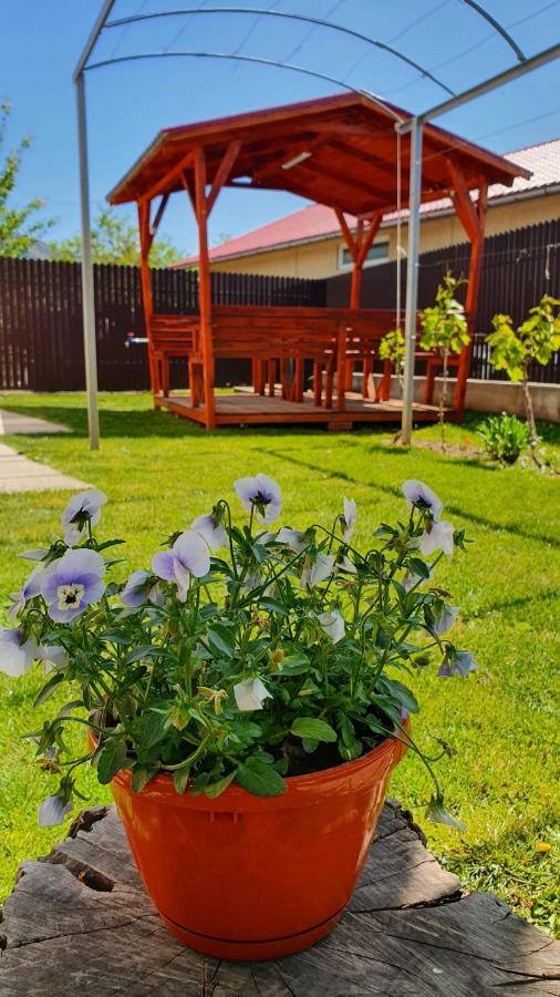 Greci Casa Carauaヴィラ エクステリア 写真